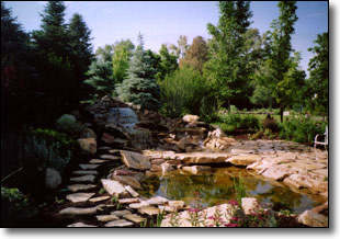 Water Feature